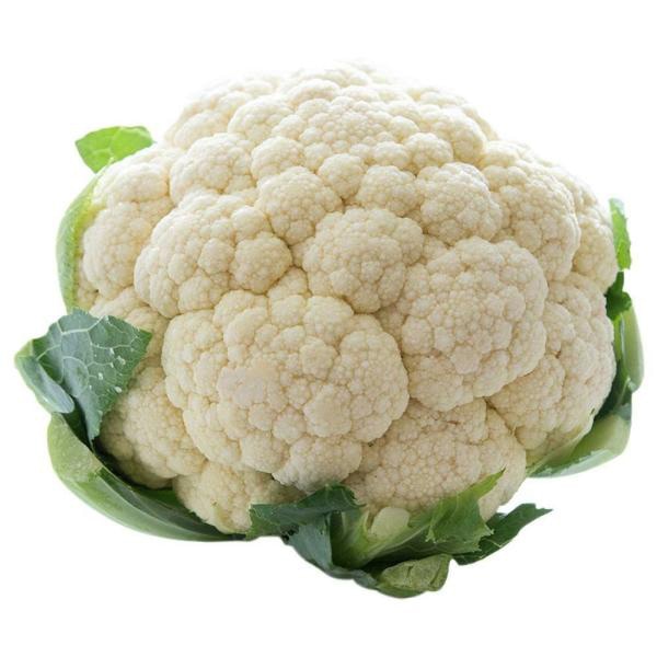 pro-cli-2 Cauliflower Species Brassica the genus - Dick Curbelo